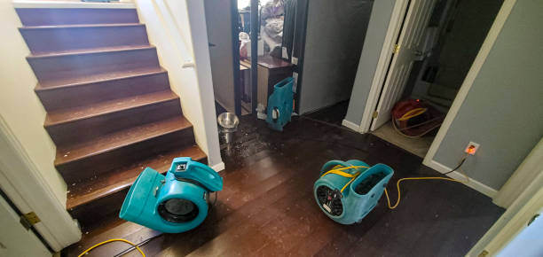 Best Local water damage restoration  in Middlesex, NC