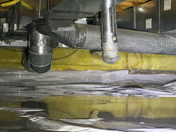 Best Mold removal after water damage  in Middlesex, NC